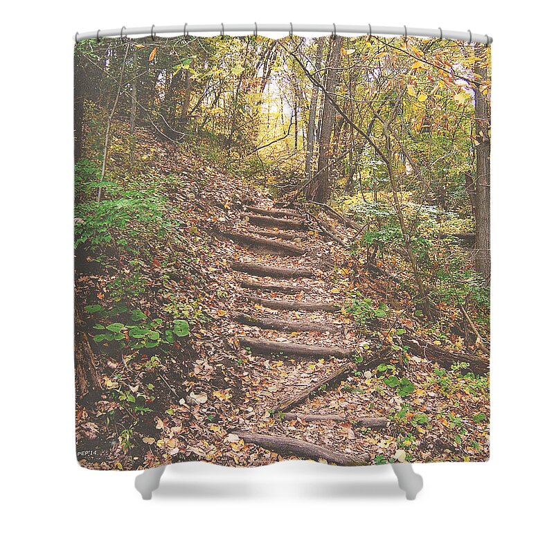 Photography Shower Curtain featuring the photograph Stairs Into The Forest by Phil Perkins