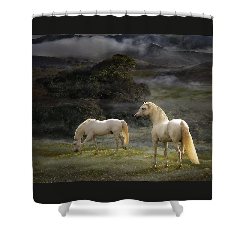 White Stallions Shower Curtain featuring the photograph Stallions of the Gods by Melinda Hughes-Berland