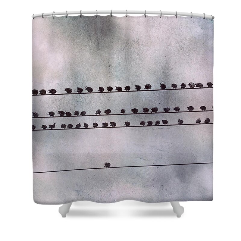Be True To Yourself Shower Curtain featuring the photograph Stand Out From The Crowd by Jai Johnson
