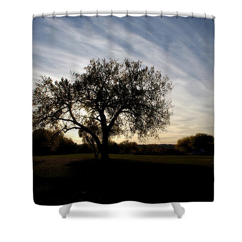 Tree Shower Curtain featuring the photograph Standing Alone Against the Evening Sky by Greni Graph