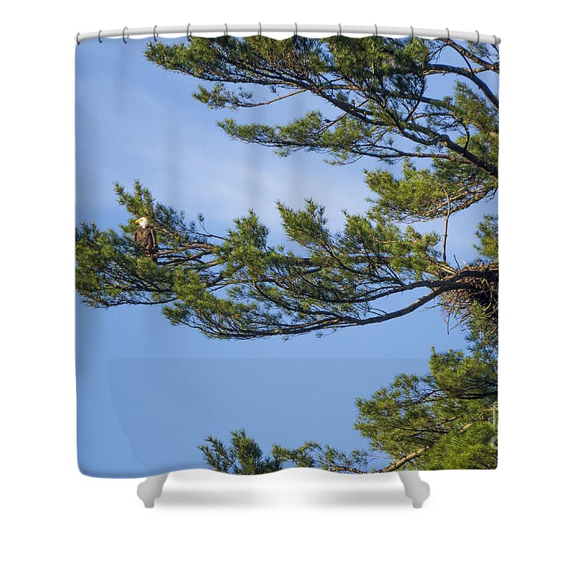 Lake Pennesseewassee Shower Curtain featuring the photograph Standing Guard by Steven Ralser