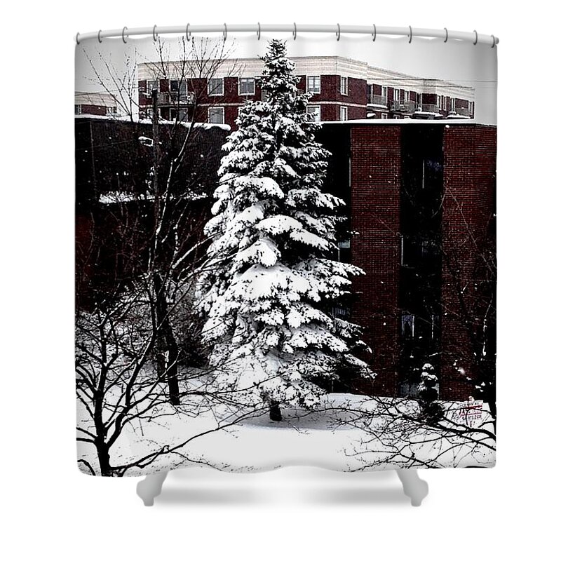 Winter Shower Curtain featuring the photograph Standing Tall by Zinvolle Art
