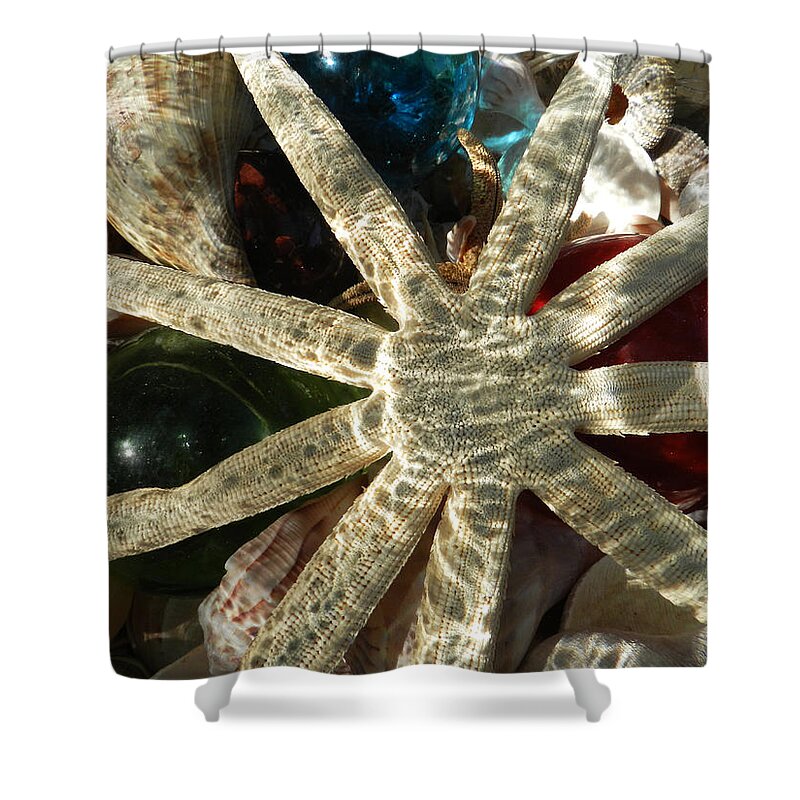 Starfish Shower Curtain featuring the photograph Star in the Jar by Deborah Ferree