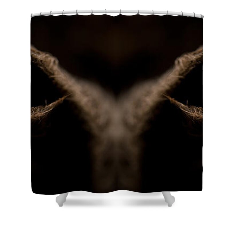 Eyes Shower Curtain featuring the photograph Stare by WB Johnston