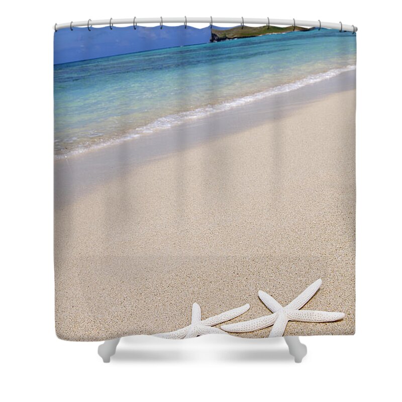 Beach Shower Curtain featuring the photograph Starfish on Beach by Brandon Tabiolo