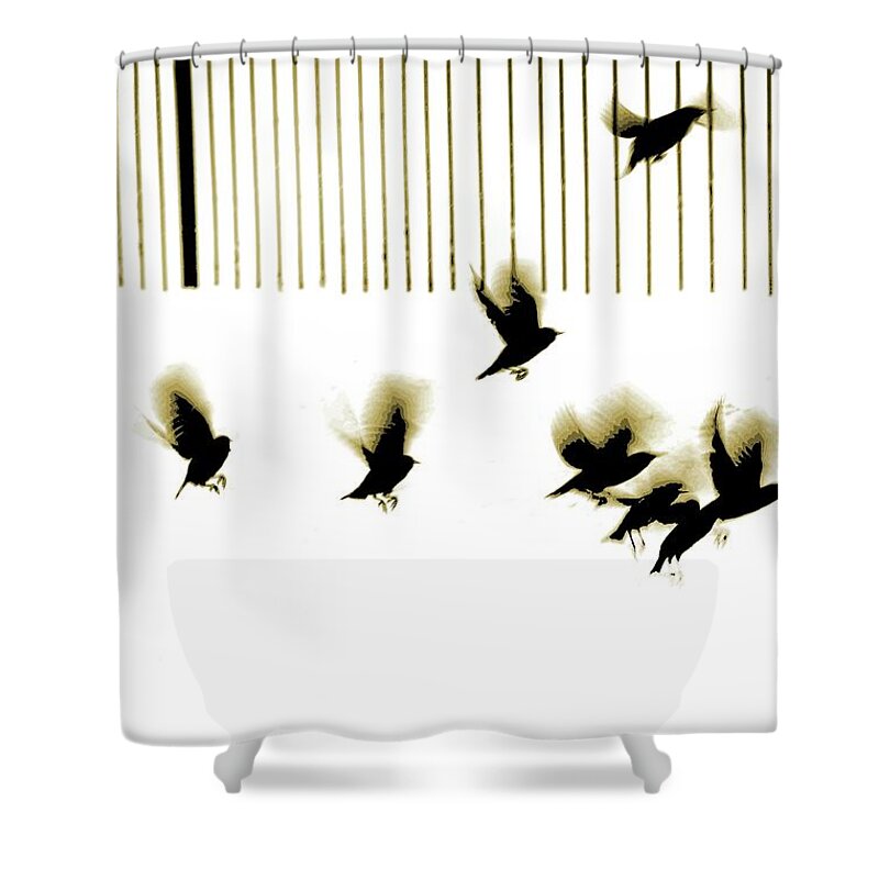 Bird Shower Curtain featuring the photograph Starlings, 2003 by Martin Mossop