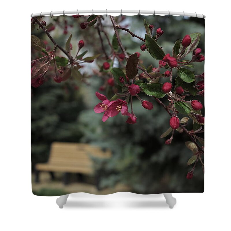 Spring Flowers Shower Curtain featuring the photograph Stay a while by Jessica Myscofski