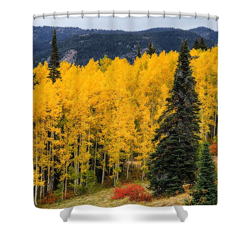 Steamboat Springs Mountains Shower Curtain featuring the photograph Steamboat Springs Fall by Juli Ellen