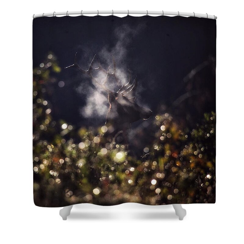 Bull Elk Shower Curtain featuring the photograph Steaming Bull Elk with Iris Flare by Michael Dougherty