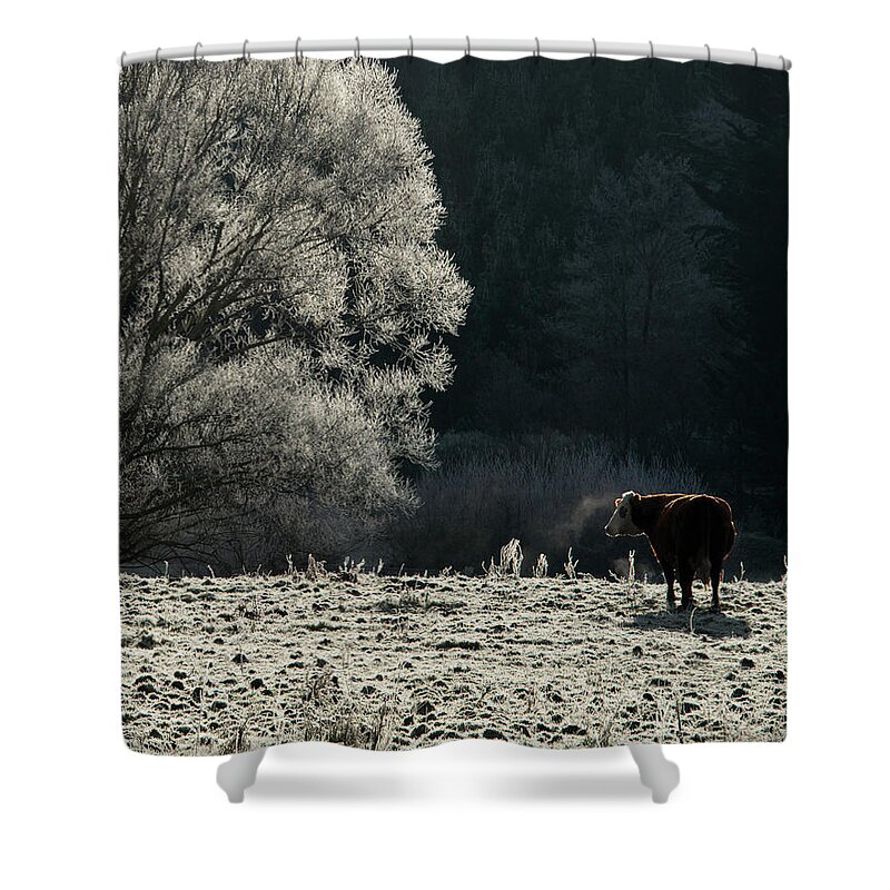 Tranquility Shower Curtain featuring the photograph Steaming by Nzpix