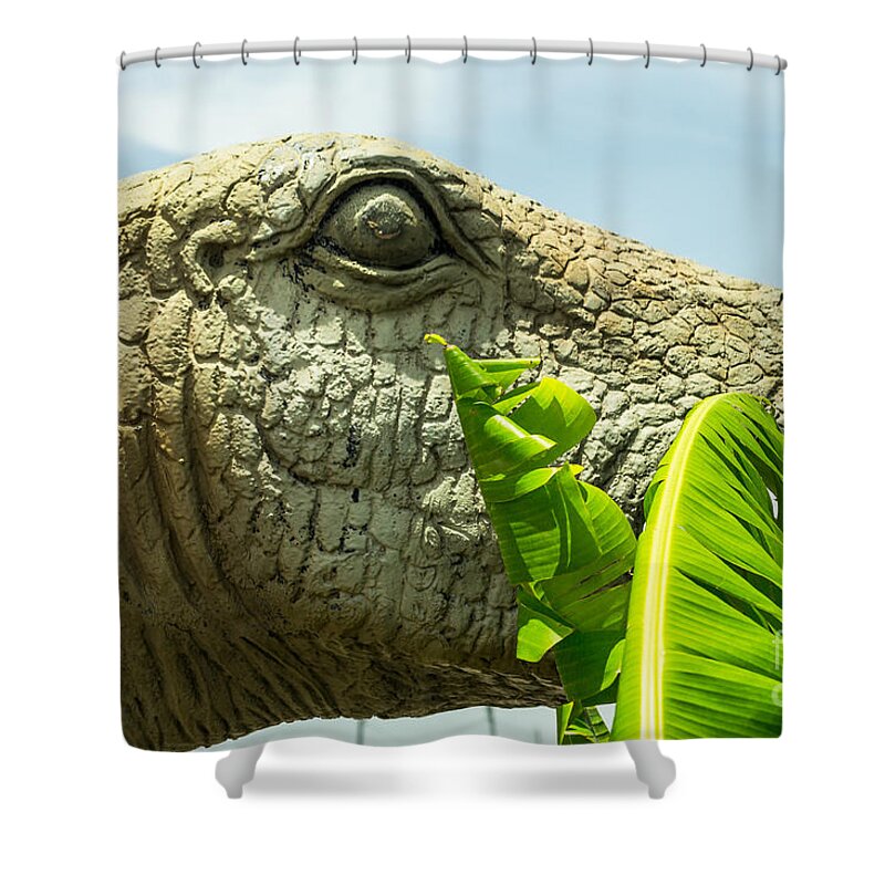 Dinosaur Shower Curtain featuring the photograph Stegosaurus Eating by Imagery by Charly