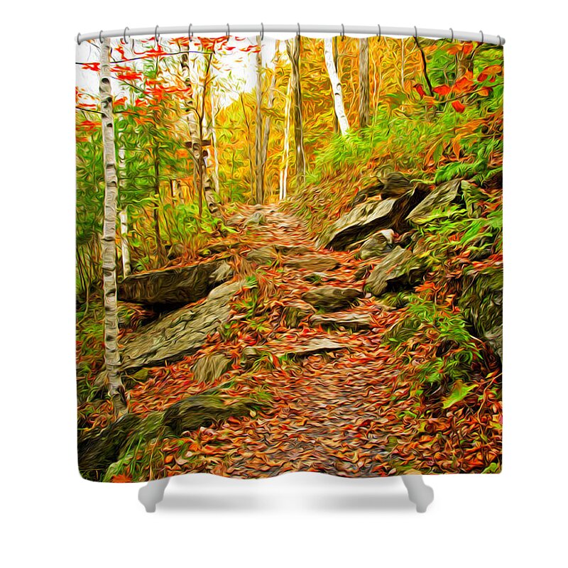Fall Shower Curtain featuring the photograph Stepping Stones by Bill Howard