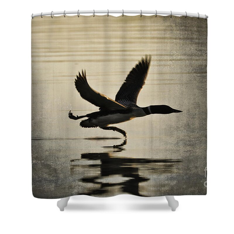Loon Shower Curtain featuring the photograph Stepping Up by Jan Killian