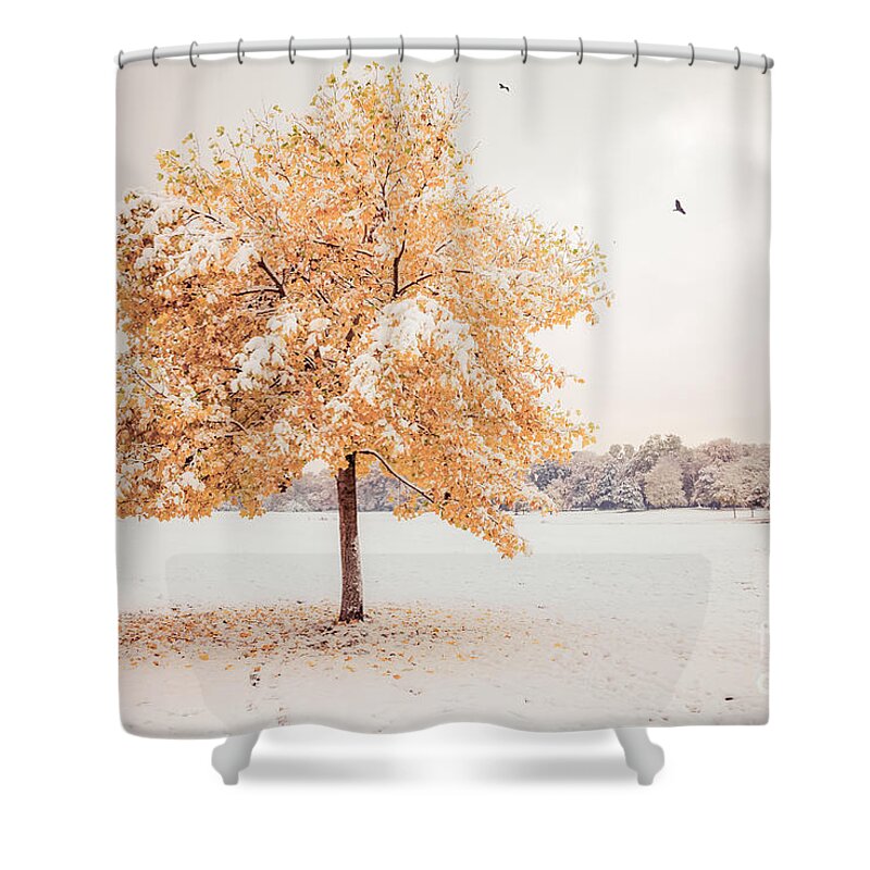 Autumn Shower Curtain featuring the photograph Still Dressed In Fall by Hannes Cmarits