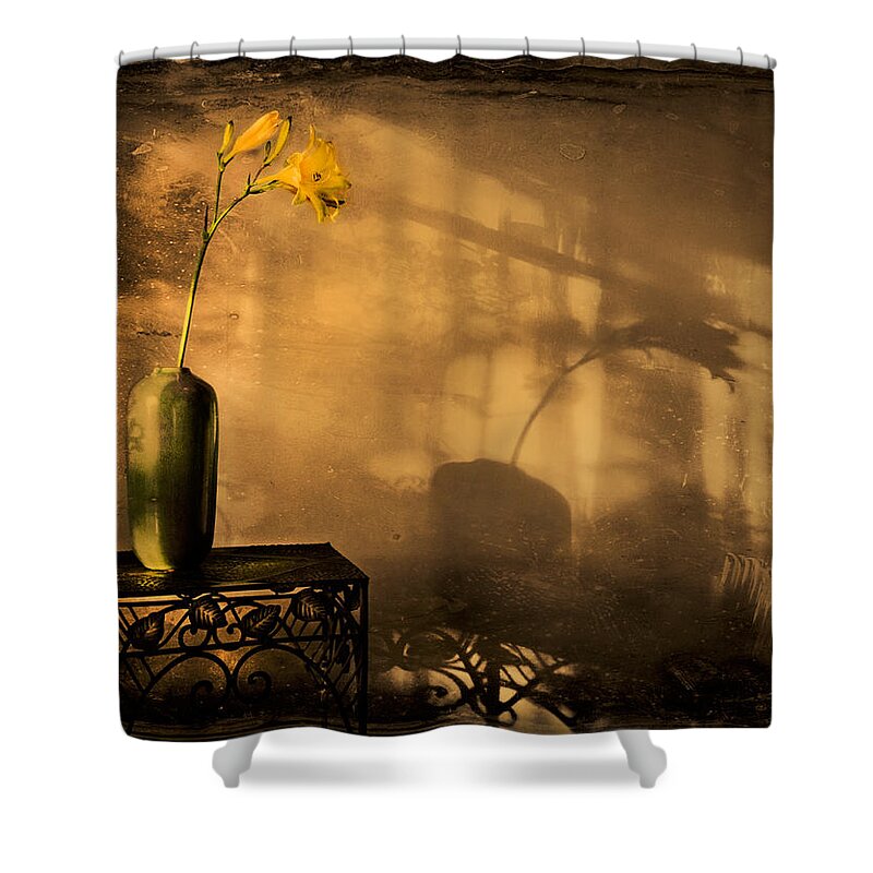 Still Life Shower Curtain featuring the photograph Still Life - Day Lily by Theresa Tahara