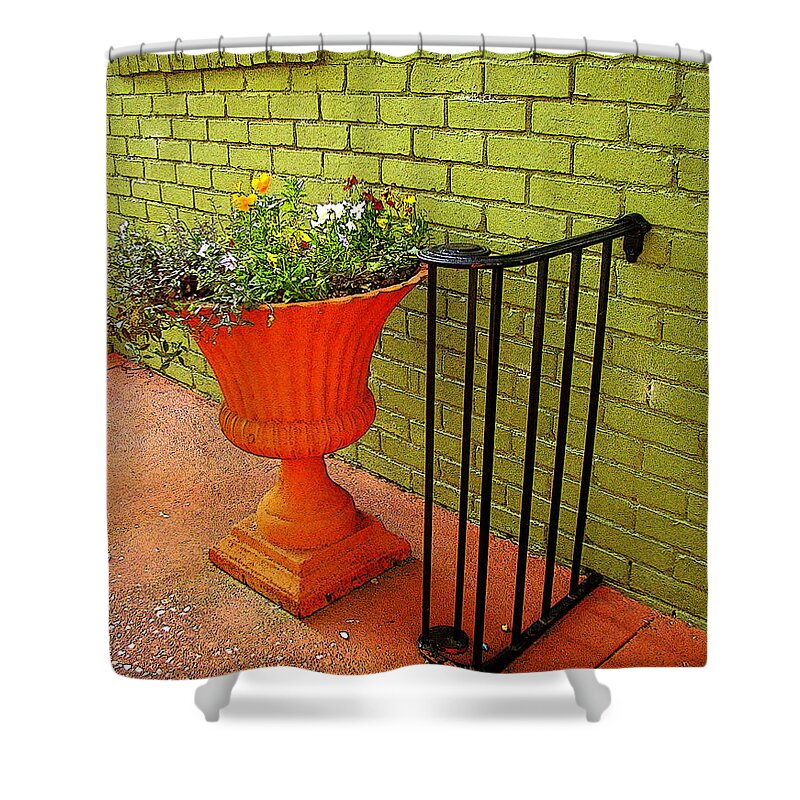 Fine Art Shower Curtain featuring the photograph Still Life in Colorful Alley by Rodney Lee Williams