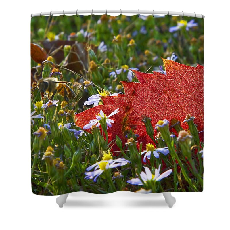Winter Shower Curtain featuring the photograph Stocking Up for the Winter by Gary Holmes