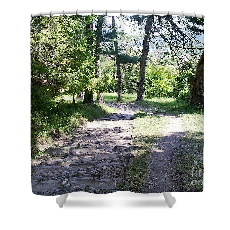 Green Shower Curtain featuring the photograph Stone path by Ramona Matei