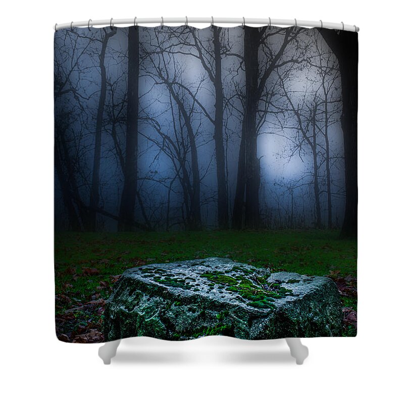 Defiance Shower Curtain featuring the photograph Stone Table by Michael Arend