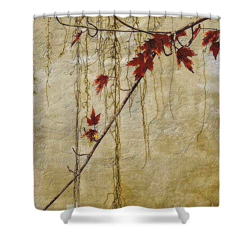 Russet Leaves Shower Curtain featuring the photograph Stone Walled by Andrea Kollo
