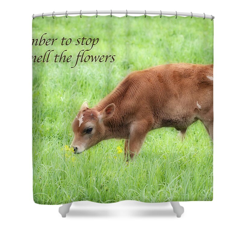 Animals Shower Curtain featuring the photograph Stop and Smell the Flowers by Patty Colabuono