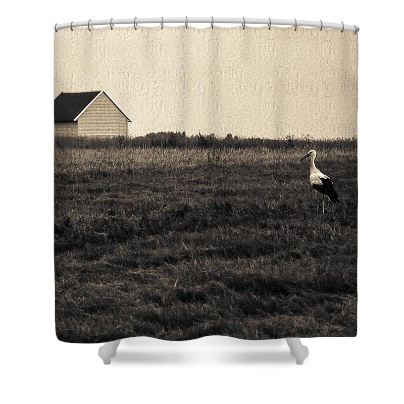 A Bird On Field Shower Curtain featuring the photograph Stork's tale by Yevgeni Kacnelson