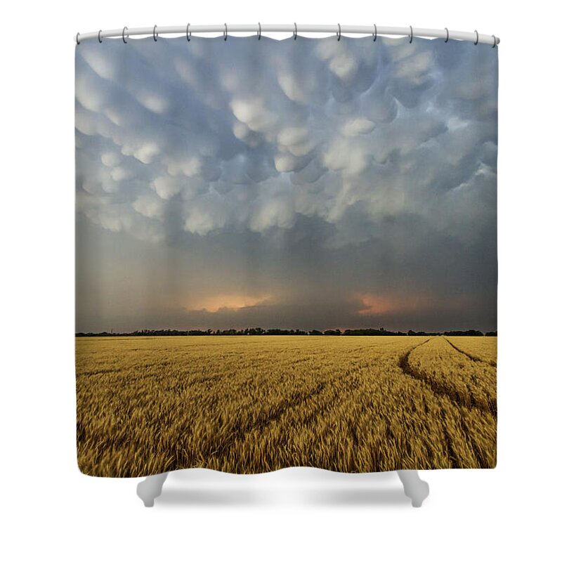 Kansas Shower Curtain featuring the photograph Storm over wheat by Rob Graham