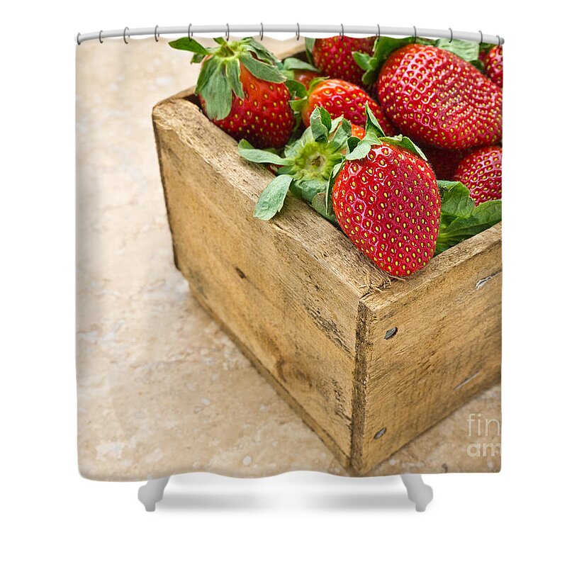 Strawberry Shower Curtain featuring the photograph Strawberries by Edward Fielding