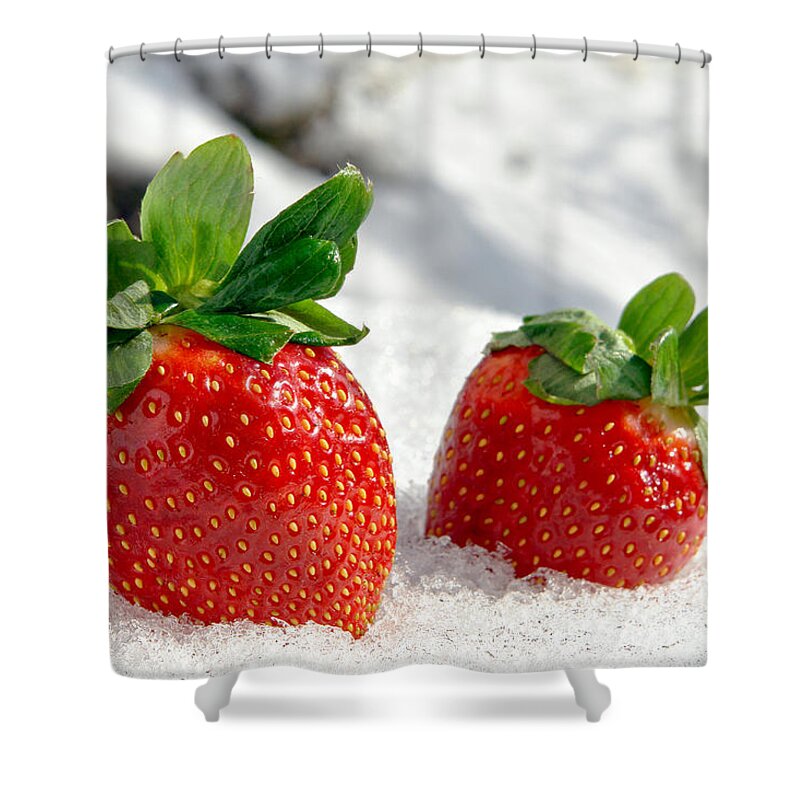 Strawberries Shower Curtain featuring the photograph Strawberries on Ice by Olivier Le Queinec