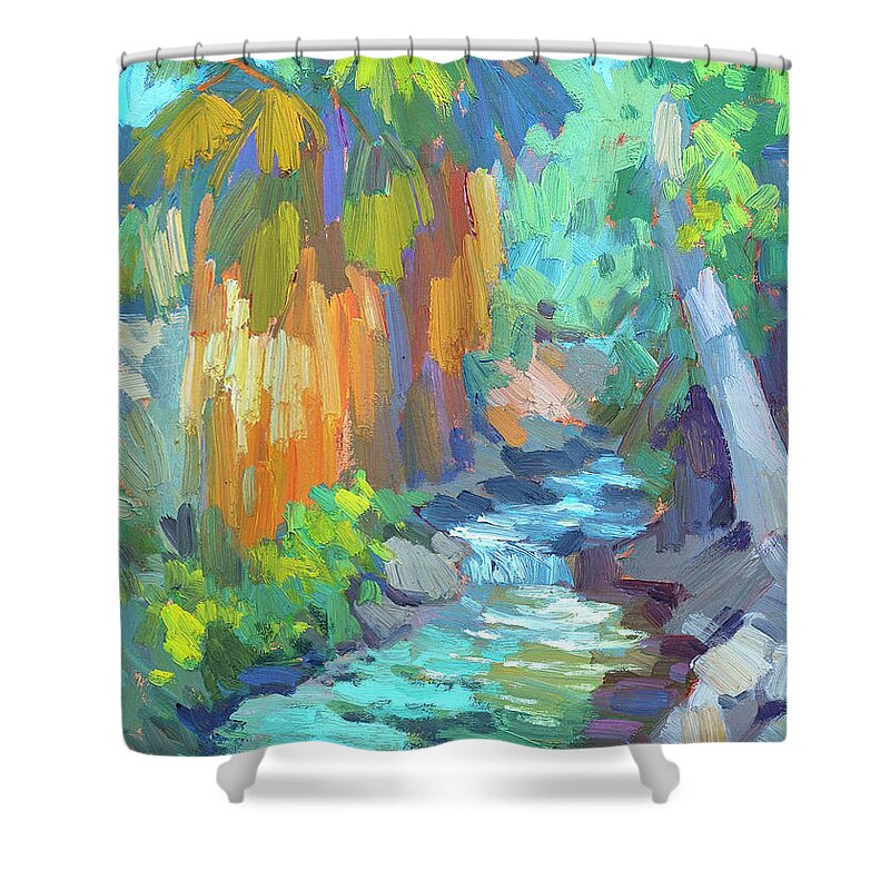 Stream At Indian Canyon Shower Curtain featuring the painting Stream At Indian Canyon by Diane McClary
