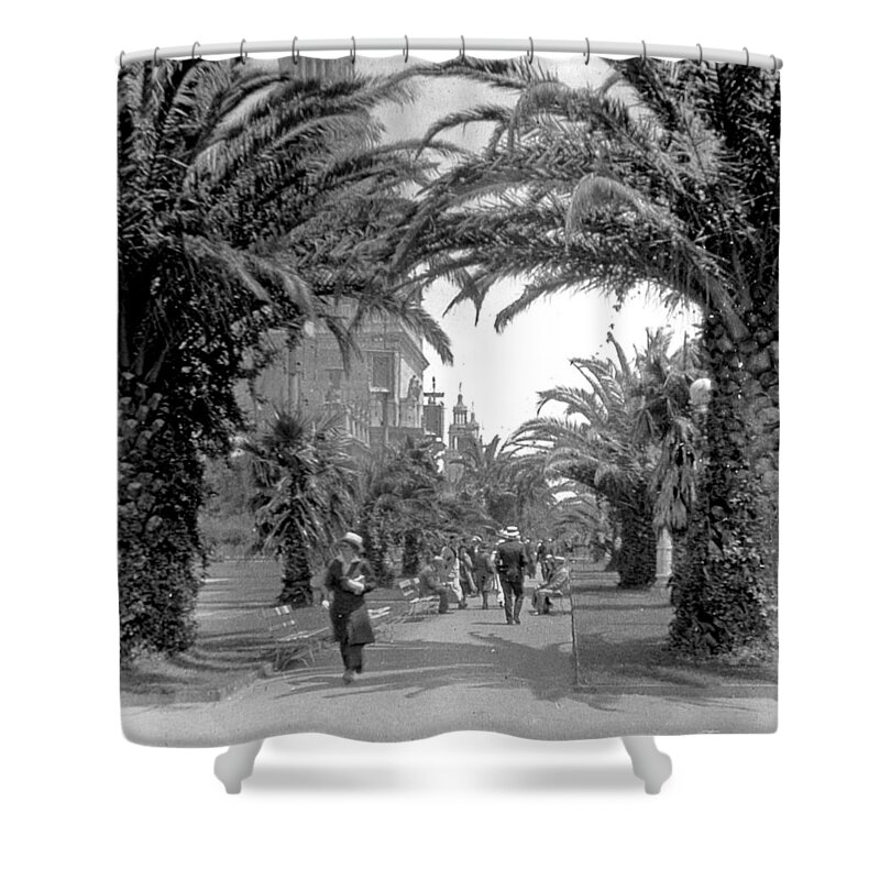 Vintage Photograph Shower Curtain featuring the photograph Avenue of the Palms, San Francisco by A Macarthur Gurmankin