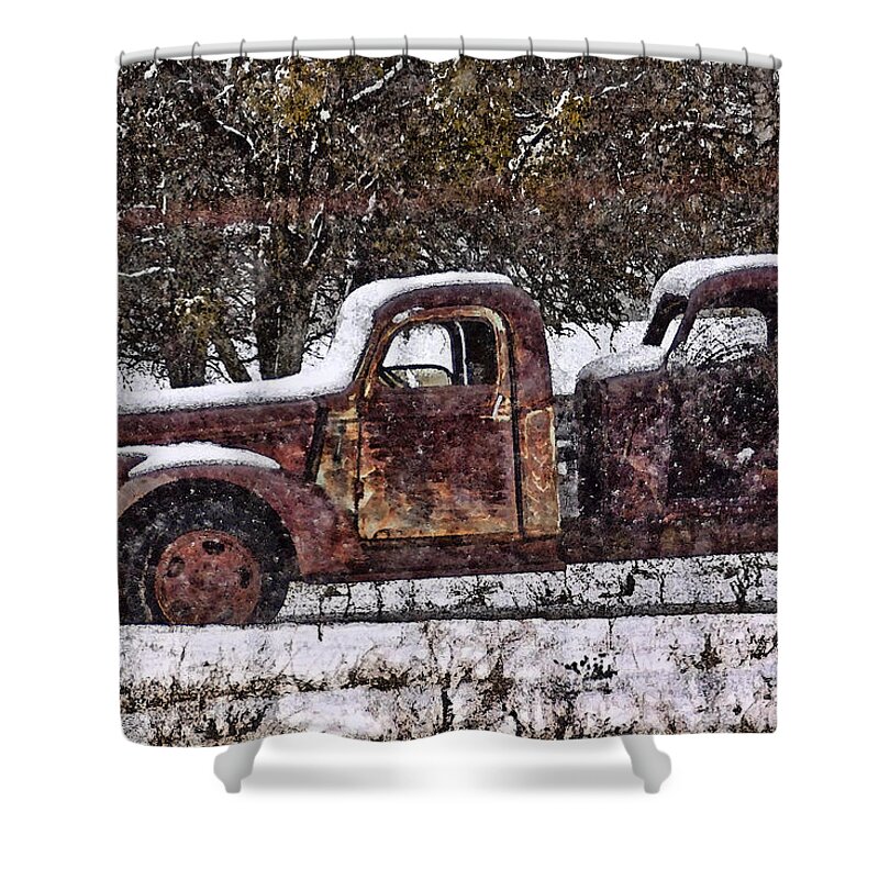 Wire Shower Curtain featuring the photograph Stretch Limo in the Blizzard by Gary Holmes