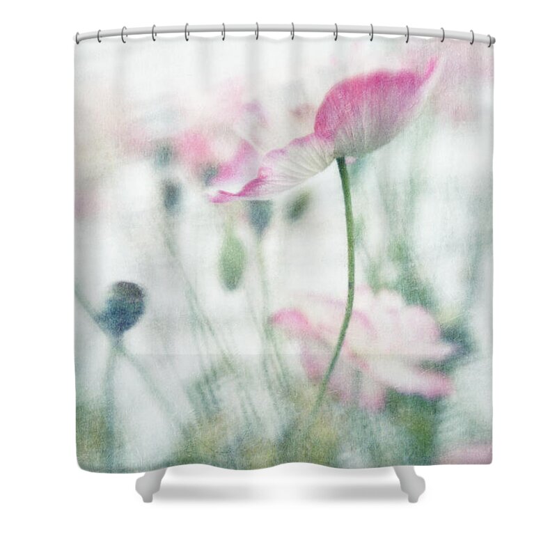 Lairy Shower Curtain featuring the photograph suffused with light III by Priska Wettstein