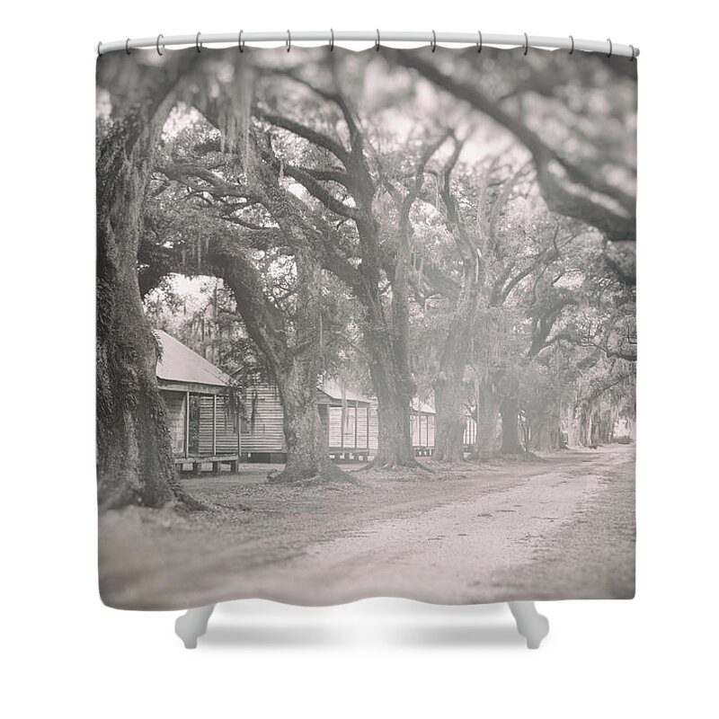 Architecture Shower Curtain featuring the photograph Sugar Cane Plantation by Jim Shackett