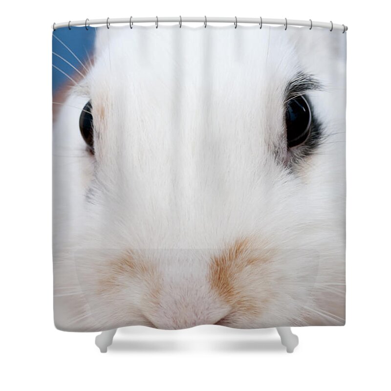 White Shower Curtain featuring the photograph sugar the easter bunny 1 -A curious and cute white rabbit close up by Pedro Cardona Llambias