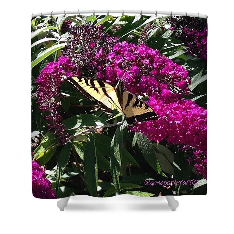 Instanaturelover Shower Curtain featuring the photograph Summer Delights - A Butterfly On The by Anna Porter