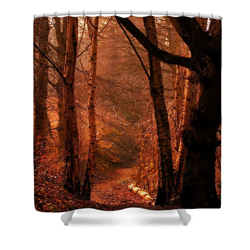 Sots Hole Shower Curtain featuring the photograph Summer in Sots Hole by Stephen Melia
