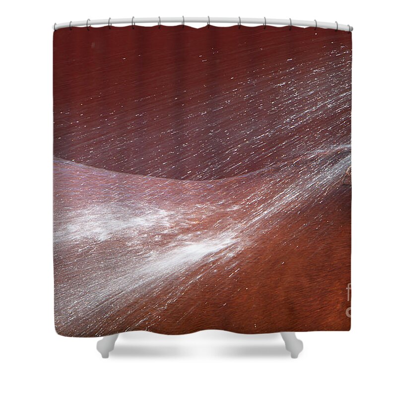 Relief Shower Curtain featuring the photograph Cooling Off by Michelle Twohig
