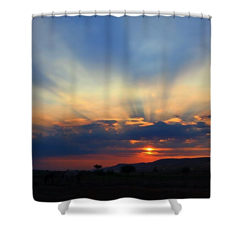 Sunrise Shower Curtain featuring the photograph Summer Sunrise by Lynn Hopwood