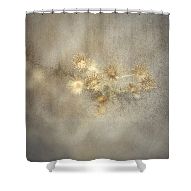 Dry Shower Curtain featuring the photograph Summer Toast by Mark Ross