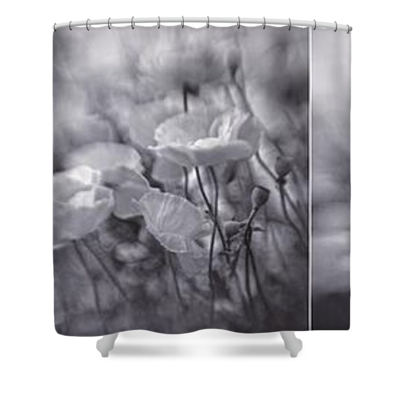 And Shower Curtain featuring the photograph Summer Whispers Collage by Priska Wettstein