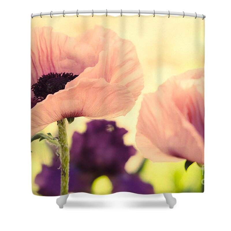 Flowers Shower Curtain featuring the photograph Summer's Colors by Roselynne Broussard