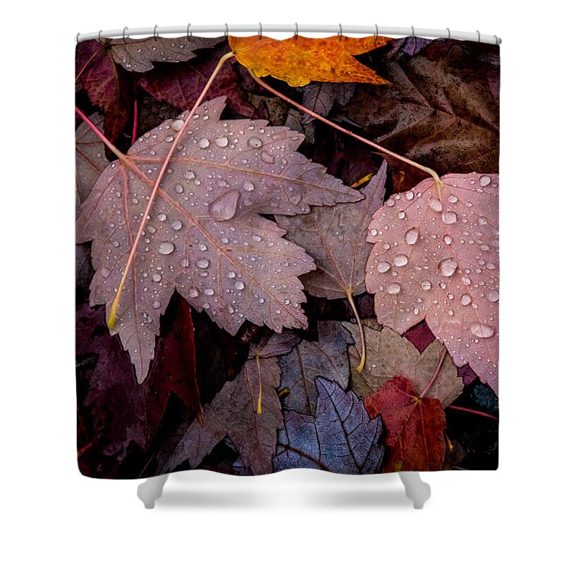 Vignette Shower Curtain featuring the photograph Summer's Tearful Goodbye by Mick Anderson