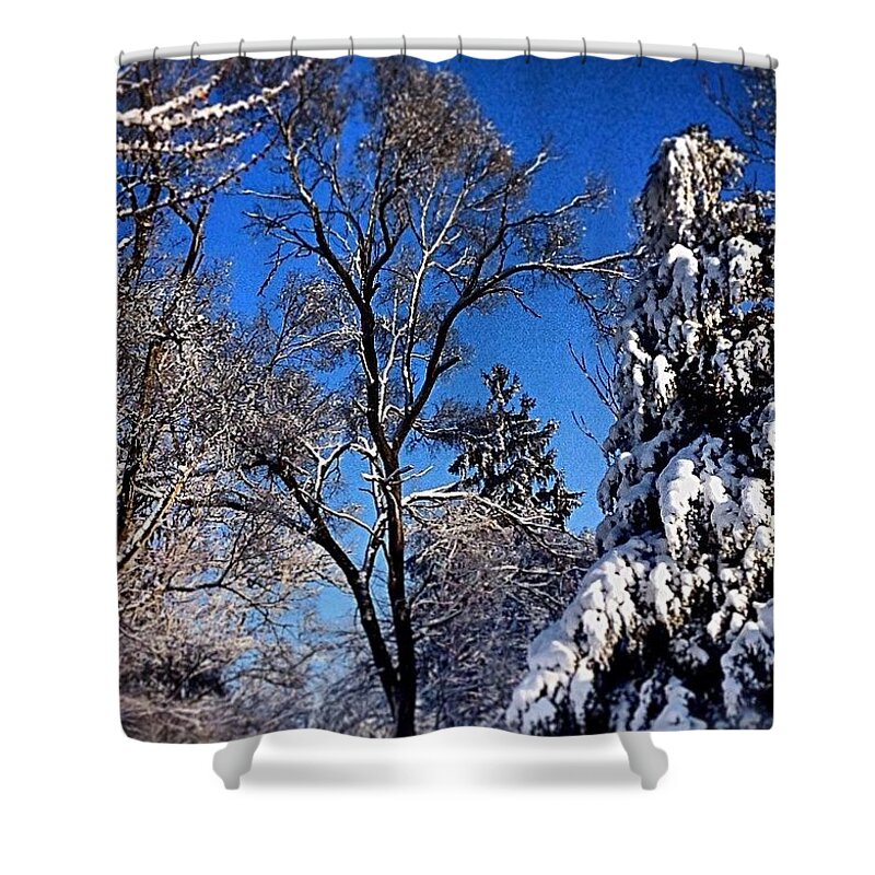  Shower Curtain featuring the photograph Sun After The Snow by Frank J Casella