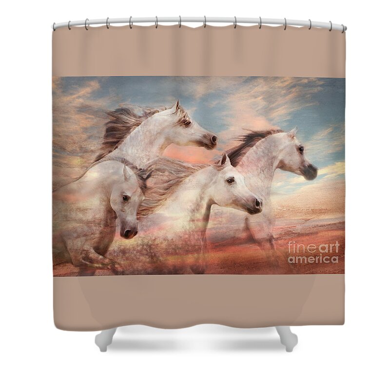 Arabian Horses Shower Curtain featuring the photograph Sun Kissed by Melinda Hughes-Berland