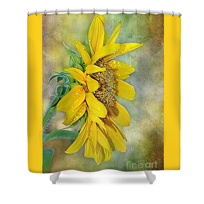 Photography Shower Curtain featuring the photograph Sun Shower on Sunflower by Kaye Menner