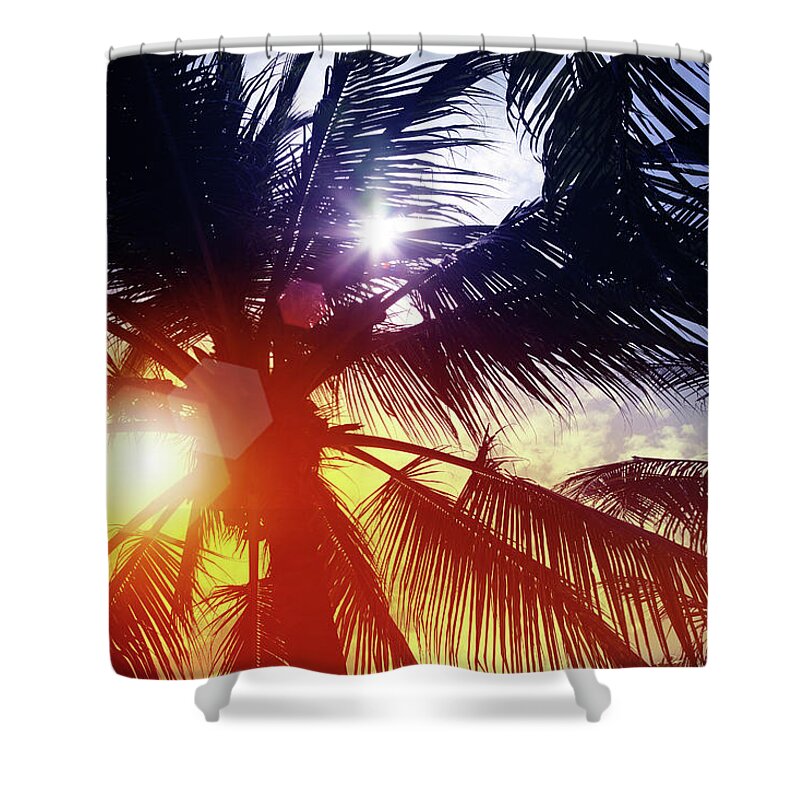 Tropical Tree Shower Curtain featuring the photograph Sunbeam Through Palm Tree In Summer by Blackred