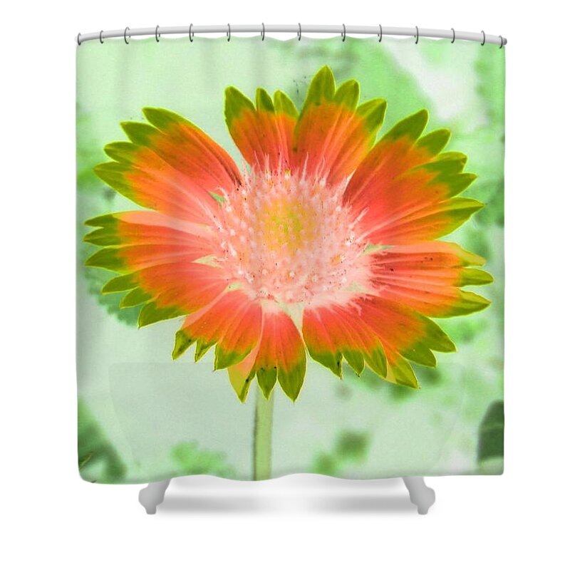 Flower Shower Curtain featuring the photograph Sunburst - PhotoPower 2250 by Pamela Critchlow