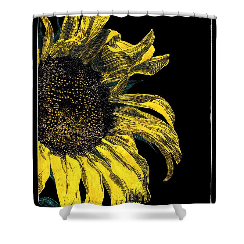 Flower Shower Curtain featuring the drawing Sunflower by Ann Ranlett