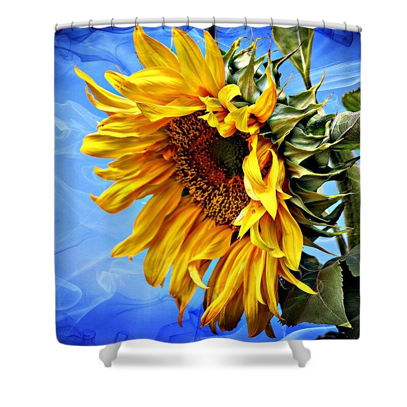 Sunflower Shower Curtain featuring the photograph Sunflower Fantasy by Barbara Chichester